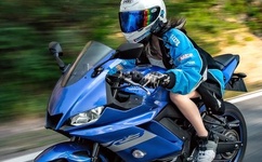 三国之模拟城市燃文